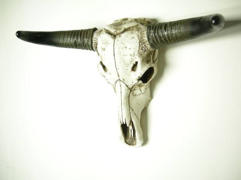 Skull Wall Hanger