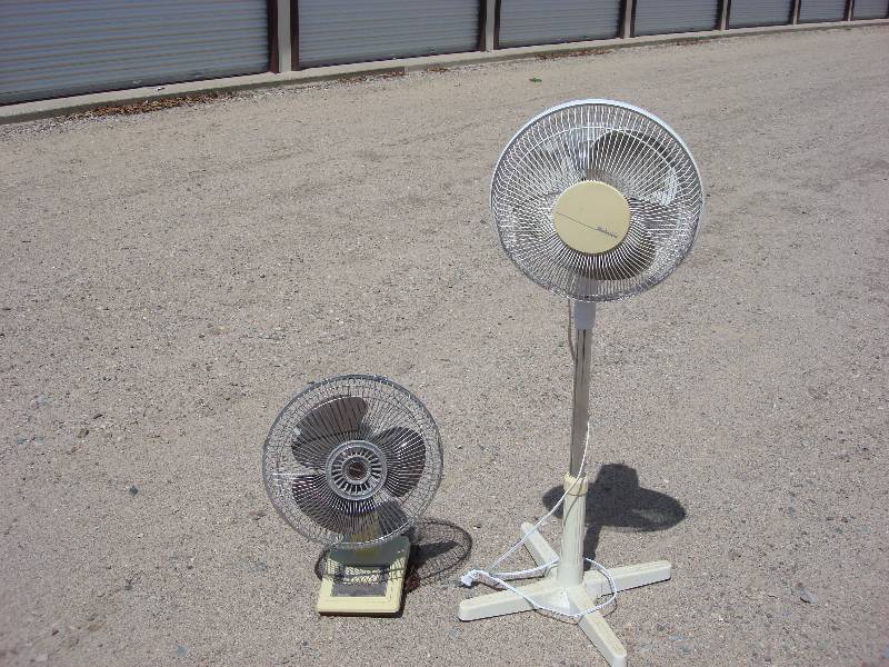 Fans