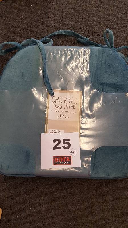 lot 25 image: BRENTWOOD 2PK FOAM CUSHIONS  BLUE