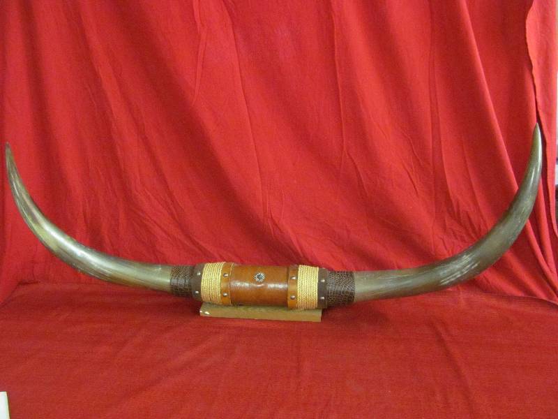 lot 103 image: Texas long horns