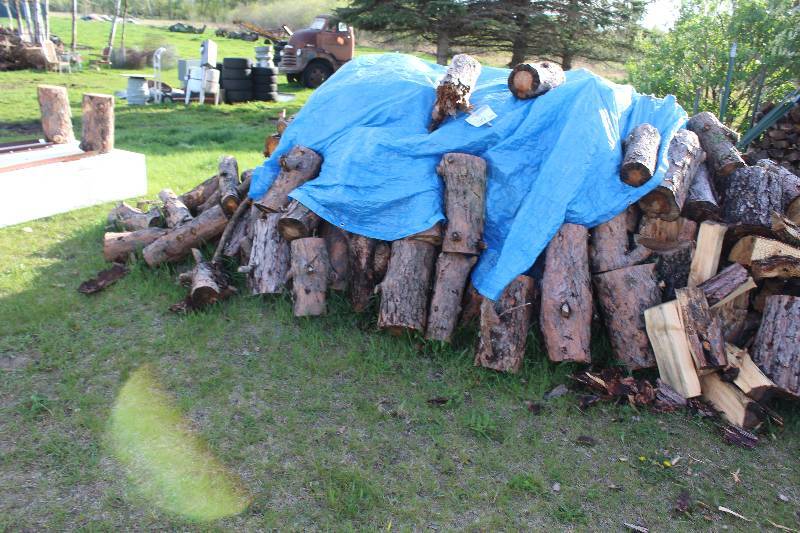 lot 209 image: Pile Lot of Wood