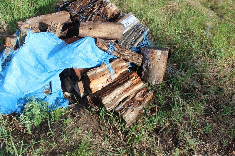 lot 212 image: Pile Lot of Wood