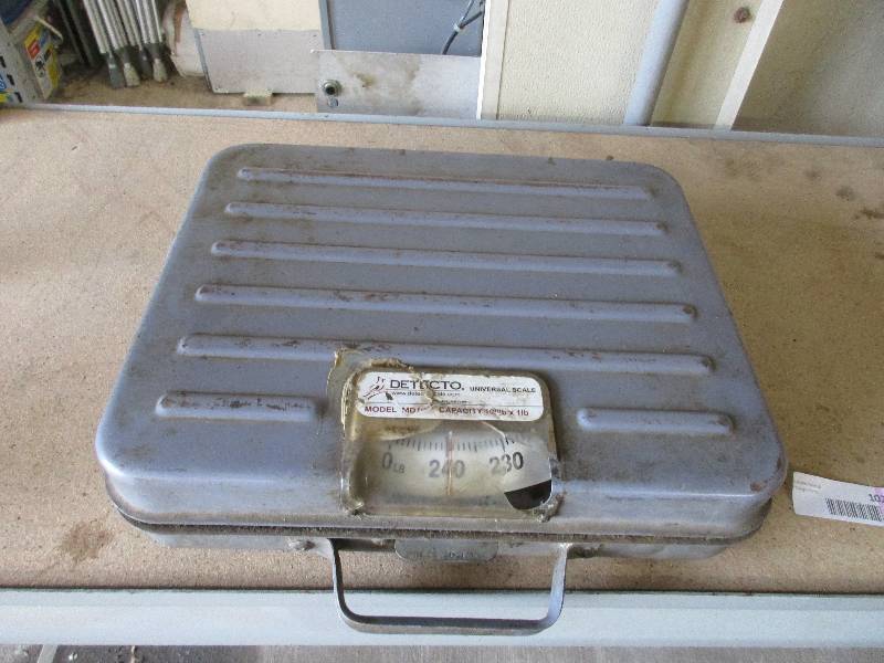 Detecto scale