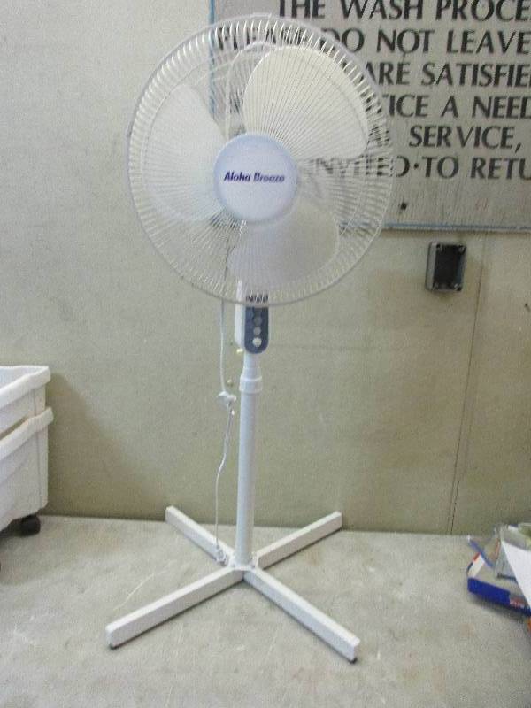 Fan