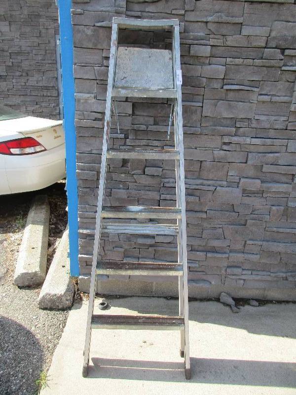 6 Step Ladder