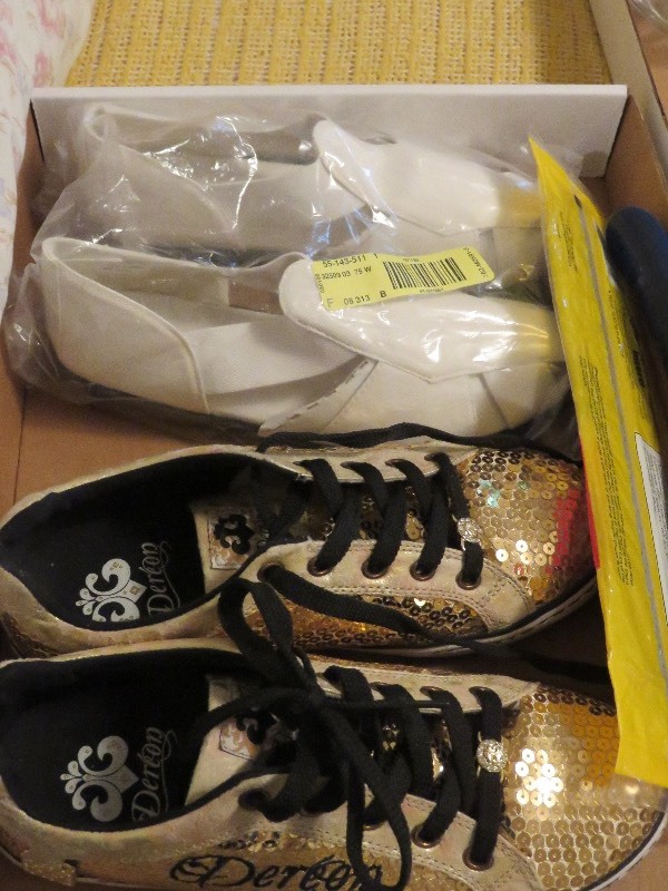 Footwear Lot