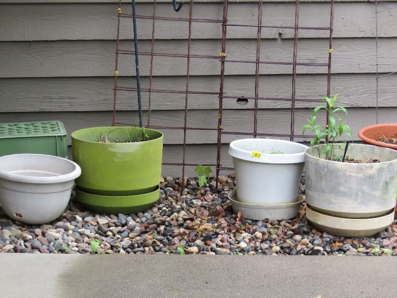 Outdoor Planter Lot