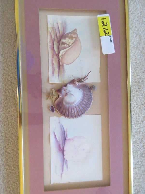 Framed Sea Shell Print wShells