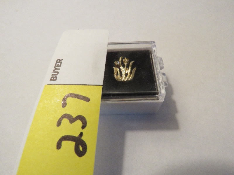 Lapel Pin