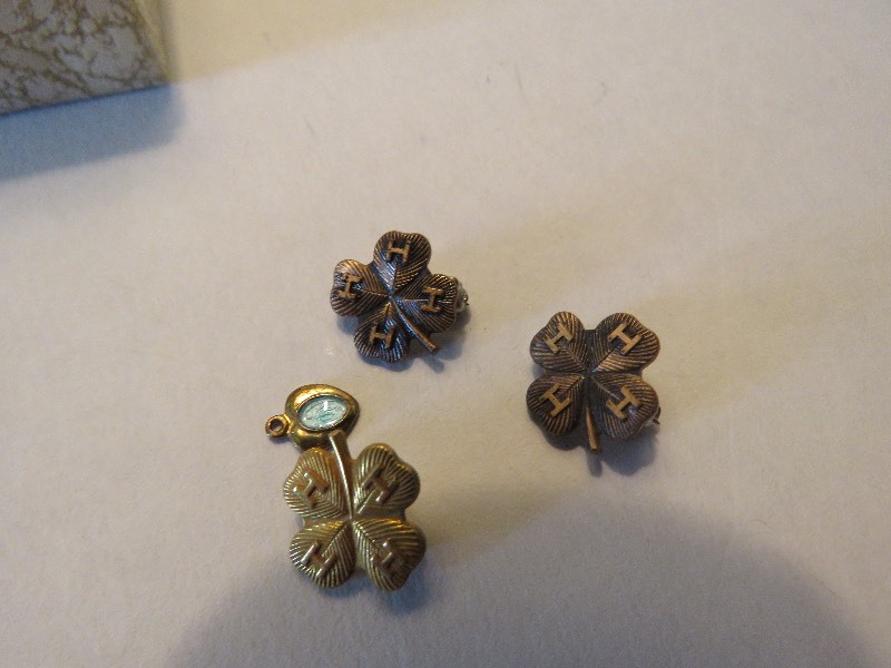 Three 4-H Pins