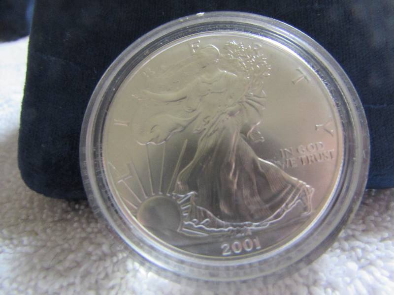 American Eagle Silver Coin