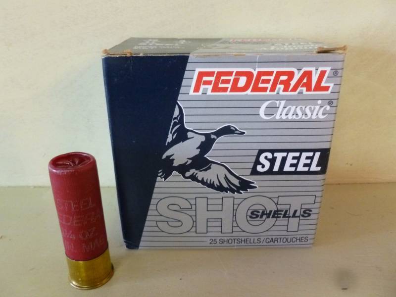 Shotgun Shells