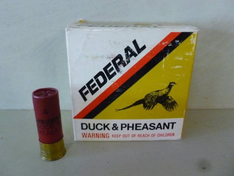 Shotgun Shells