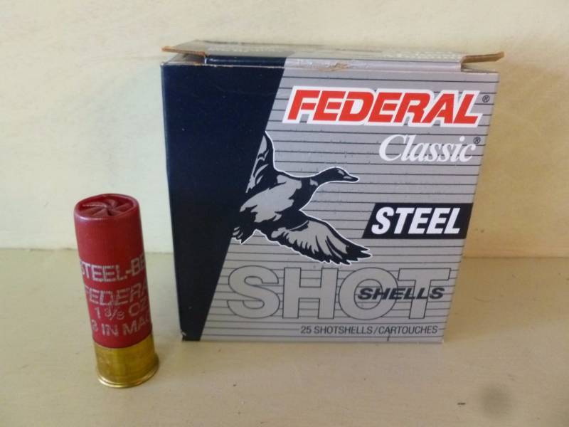 Shotgun Shells