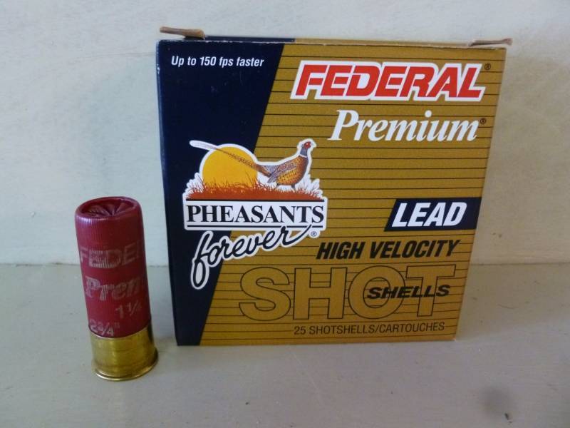 Shotgun Shells
