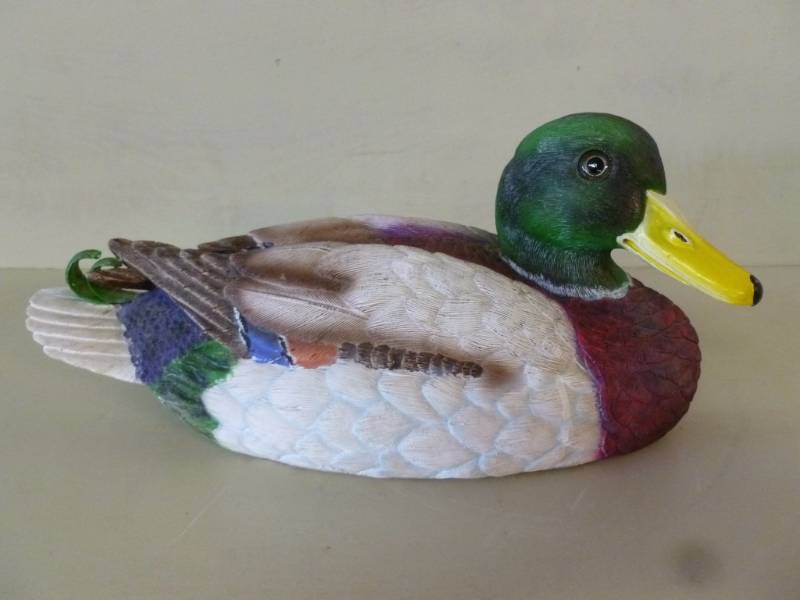 Duck Decoration