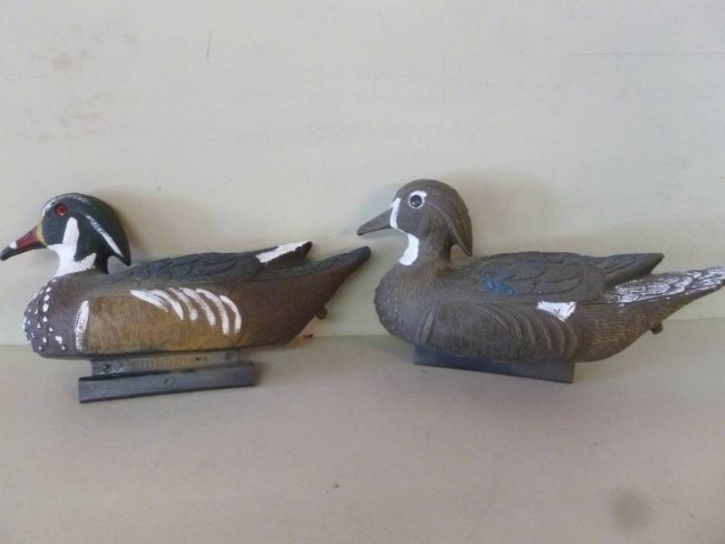 Duck Decoys