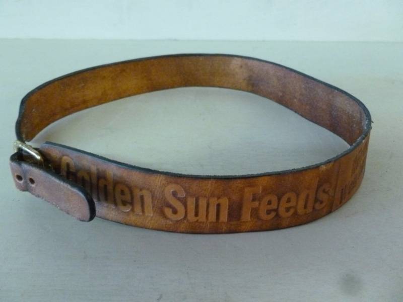 Dog Collar