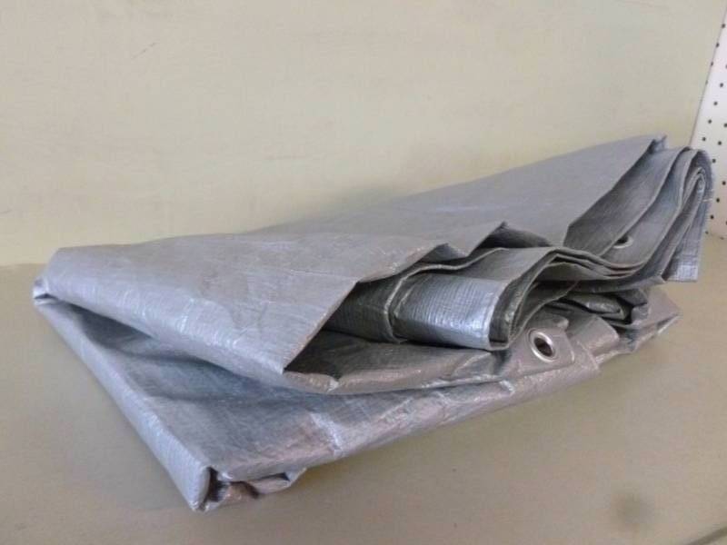 Tarp