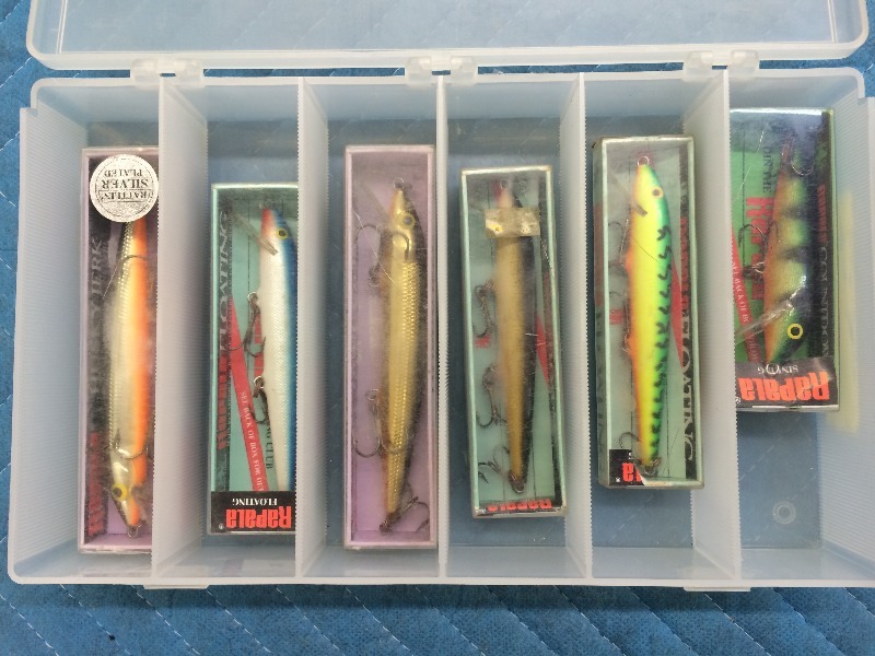Assorted Rapalas  organizer