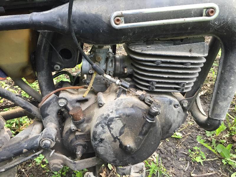 Mini Bike
