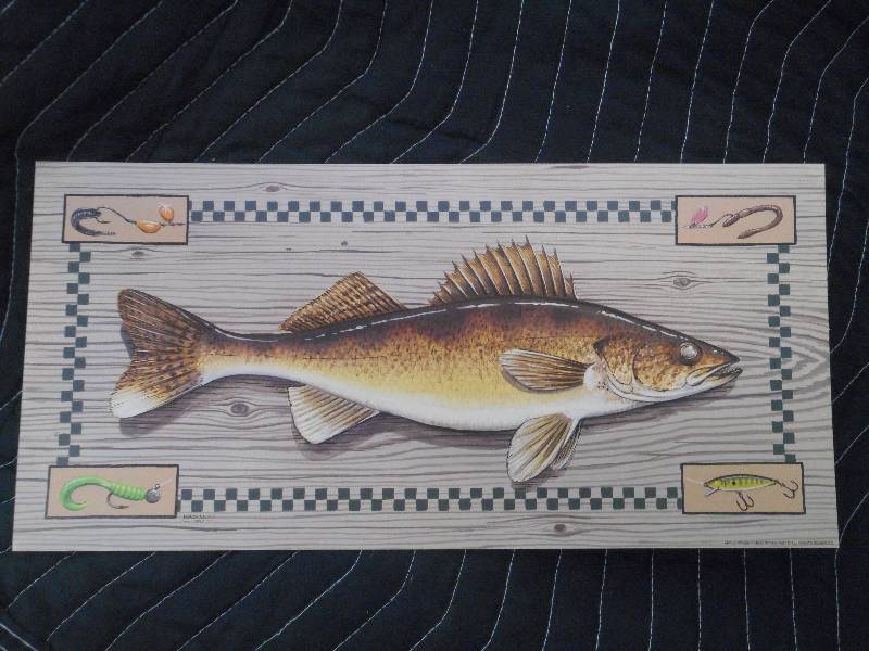 Approx (20) 7.5x15.5 Walleye Prin...
