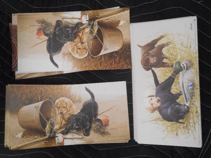 Approx (75) Assorted 5x10 Prints ...