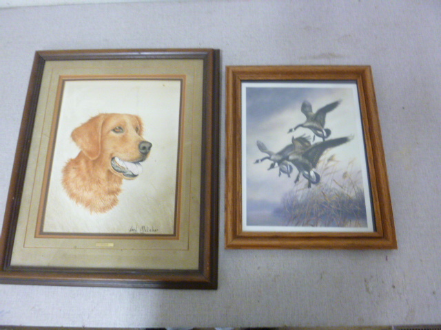lot 55 image: 2 Framed Prints