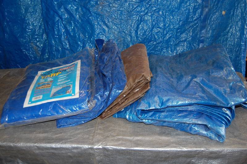 lot 134 image: TARPS