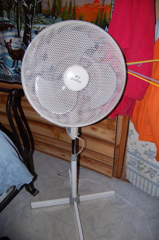 lot 436 image: Large Fan