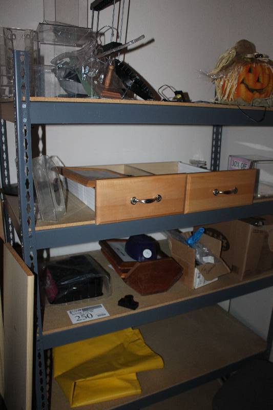 lot 250 image: 4-Shelf Adjustable Metal Storage Rack