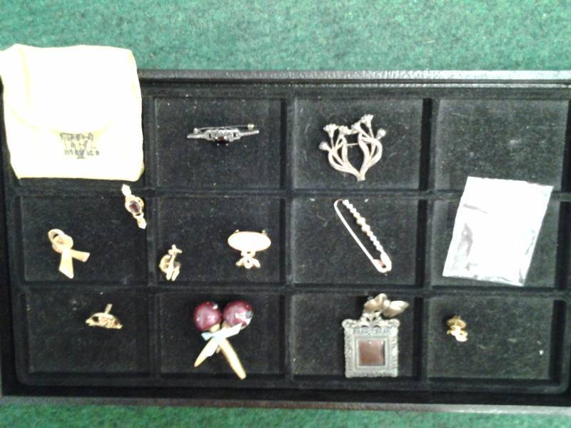 Assorted Pins