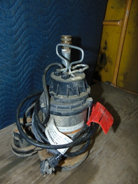 lot 20 image: Ridgid Sump Pump
