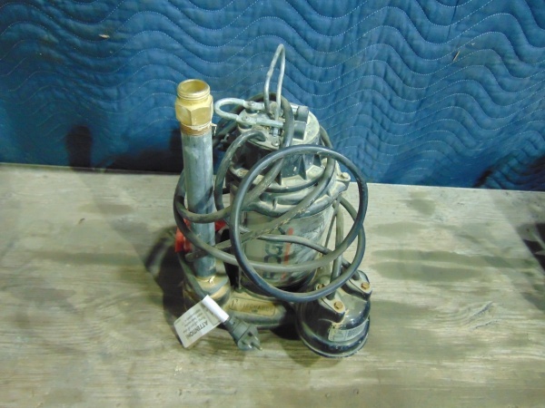 lot 21 image: Ridgid Sump Pump
