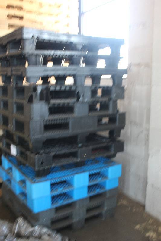lot 215 image: Lot of (16) Pallets - (12) Plastic and (4) Wood