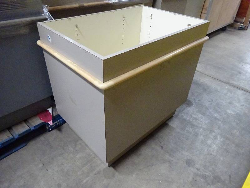 Dump Bin