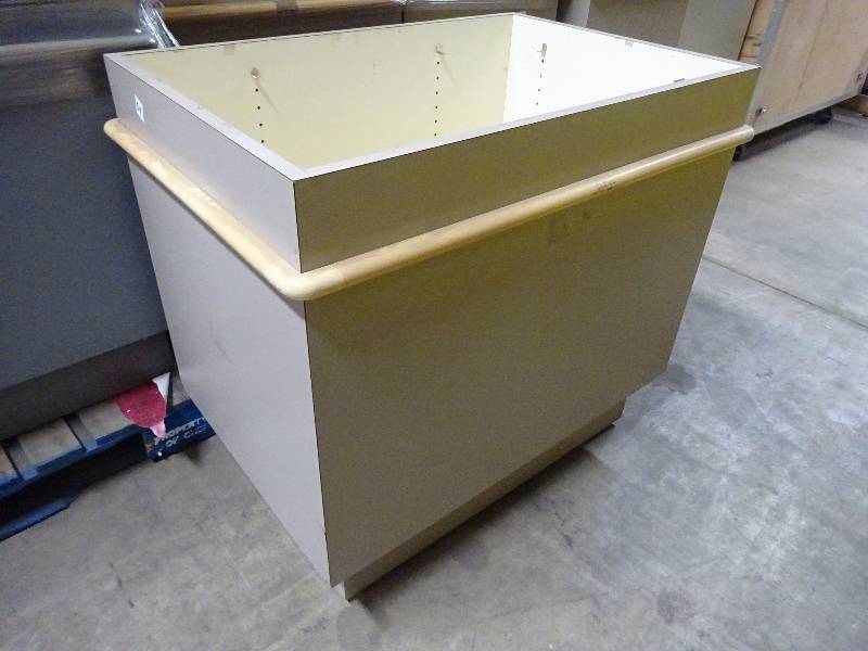 Dump Bin