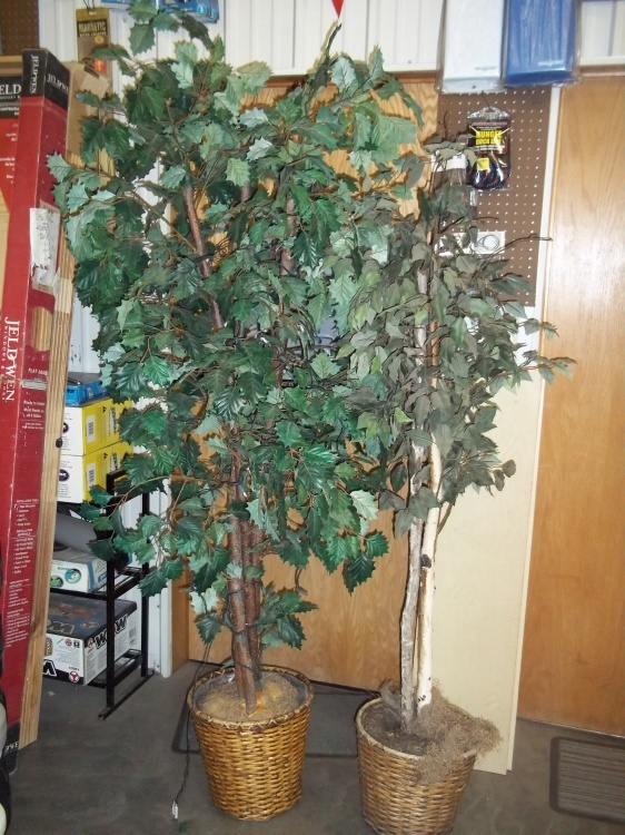 lot 193 image: Pair of Birch Dcor trees