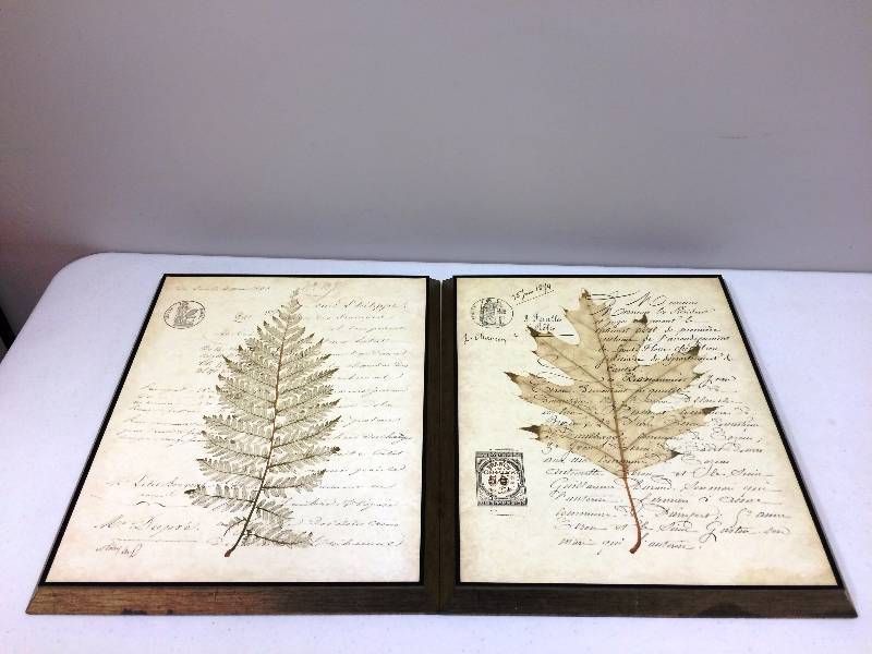 lot 1 image: Beautiful Pair French Leaf Pictures - Like New Approx 18x12 Each