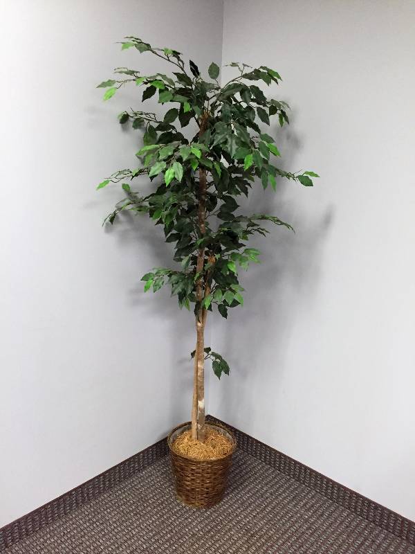 lot 56 image: Artificial Tree
