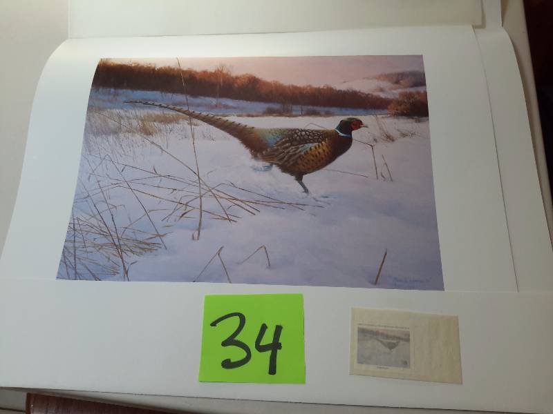 lot 34 image: 1987, Minnesota Conservation Federation Stamp Print, Ringnetck Pheasant.. Unframed