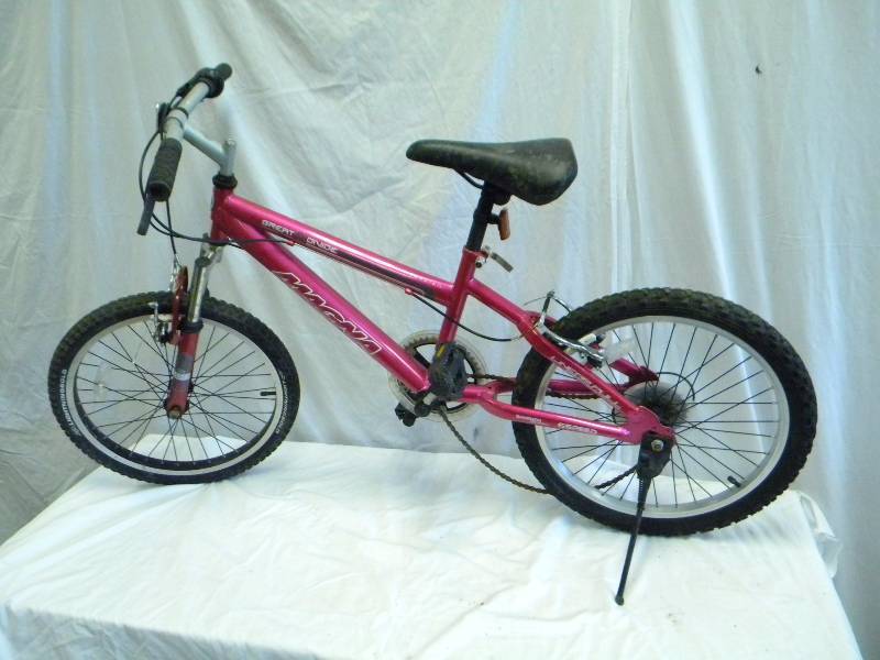 Magna Bicycle