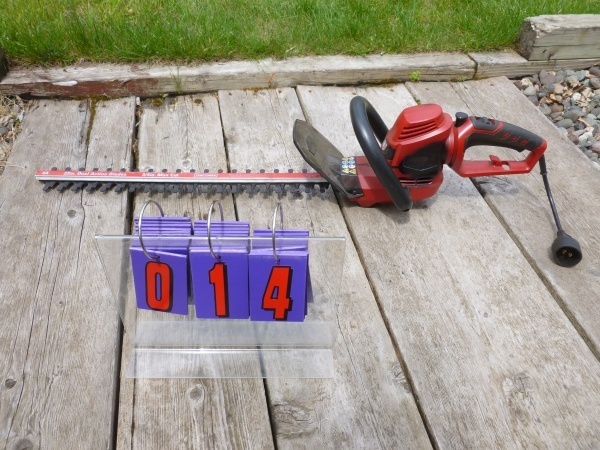SnS Auctions # 213 Consignment moving sale