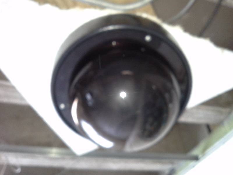 Security Camera Protection Globe(5)