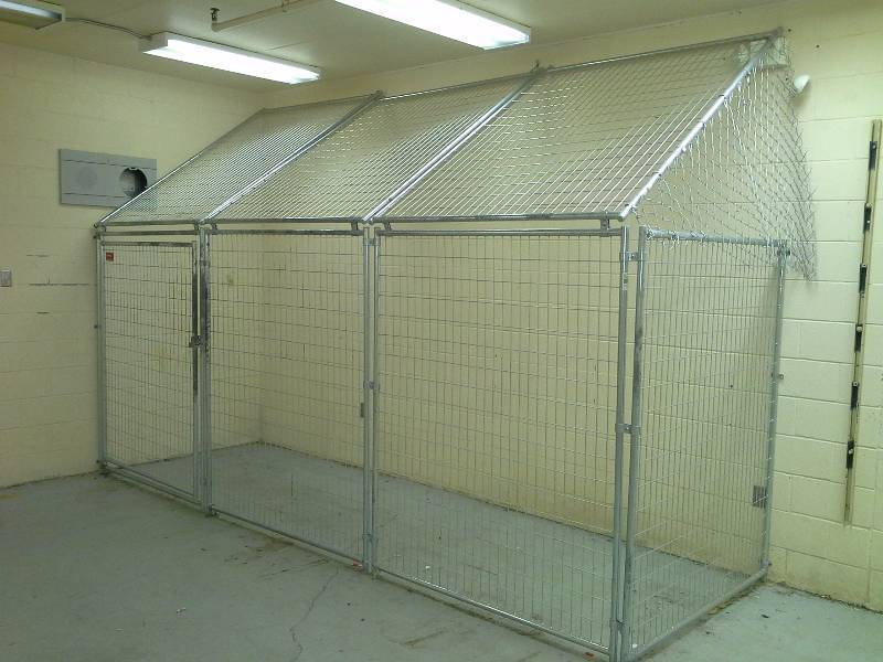 Dog Kennel