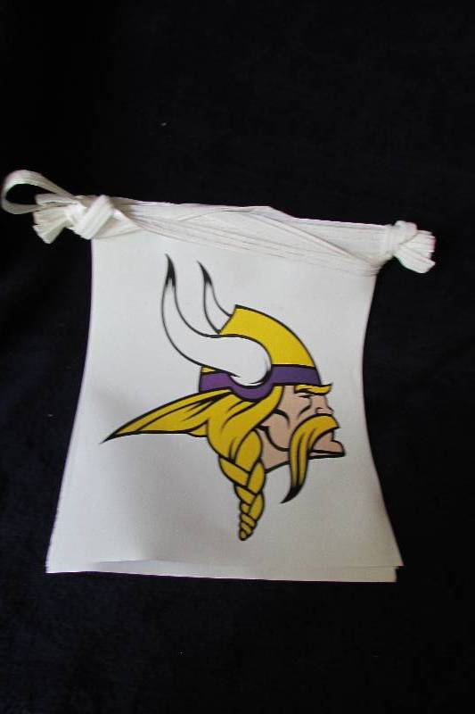 Minnesota Vikings Tailgating Banner