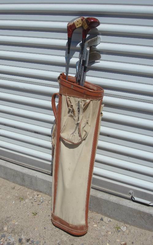 lot 26 image: Youth golf clubs in tan bag