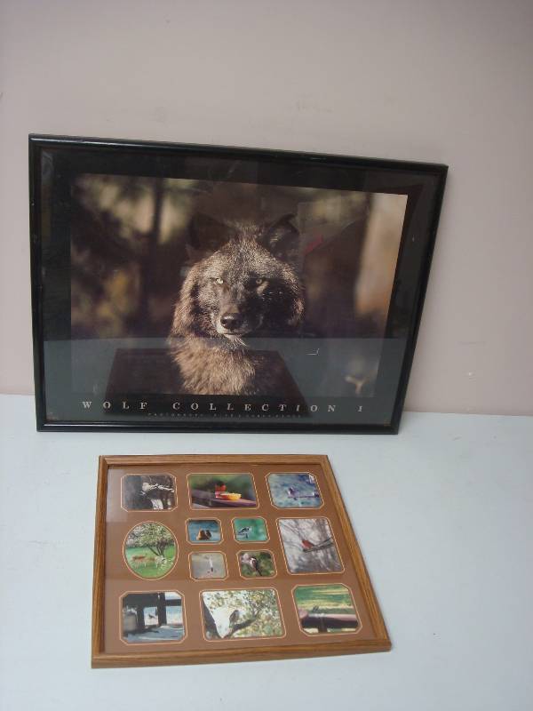 Pair Of Framed Animal Pictures, One Wolf...