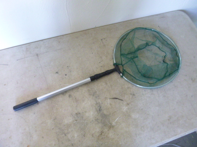 lot 174 image: Telescoping Landing Net