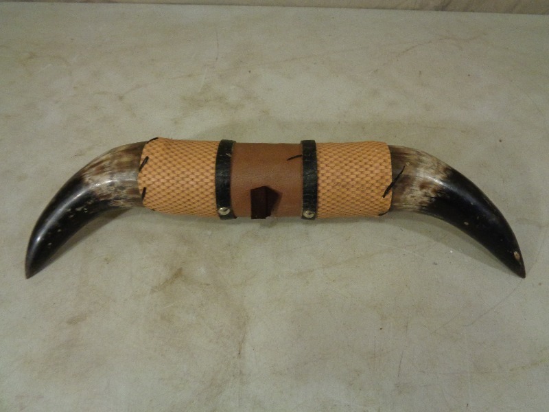 lot 35 image: Set of Horns